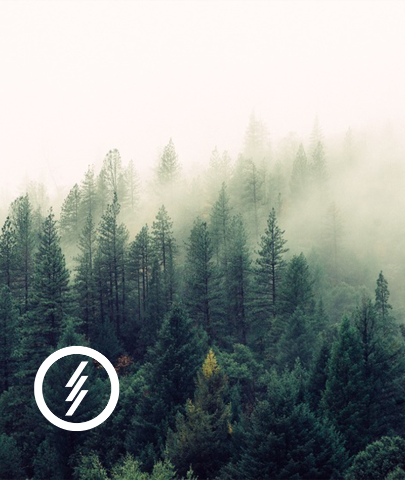 trees